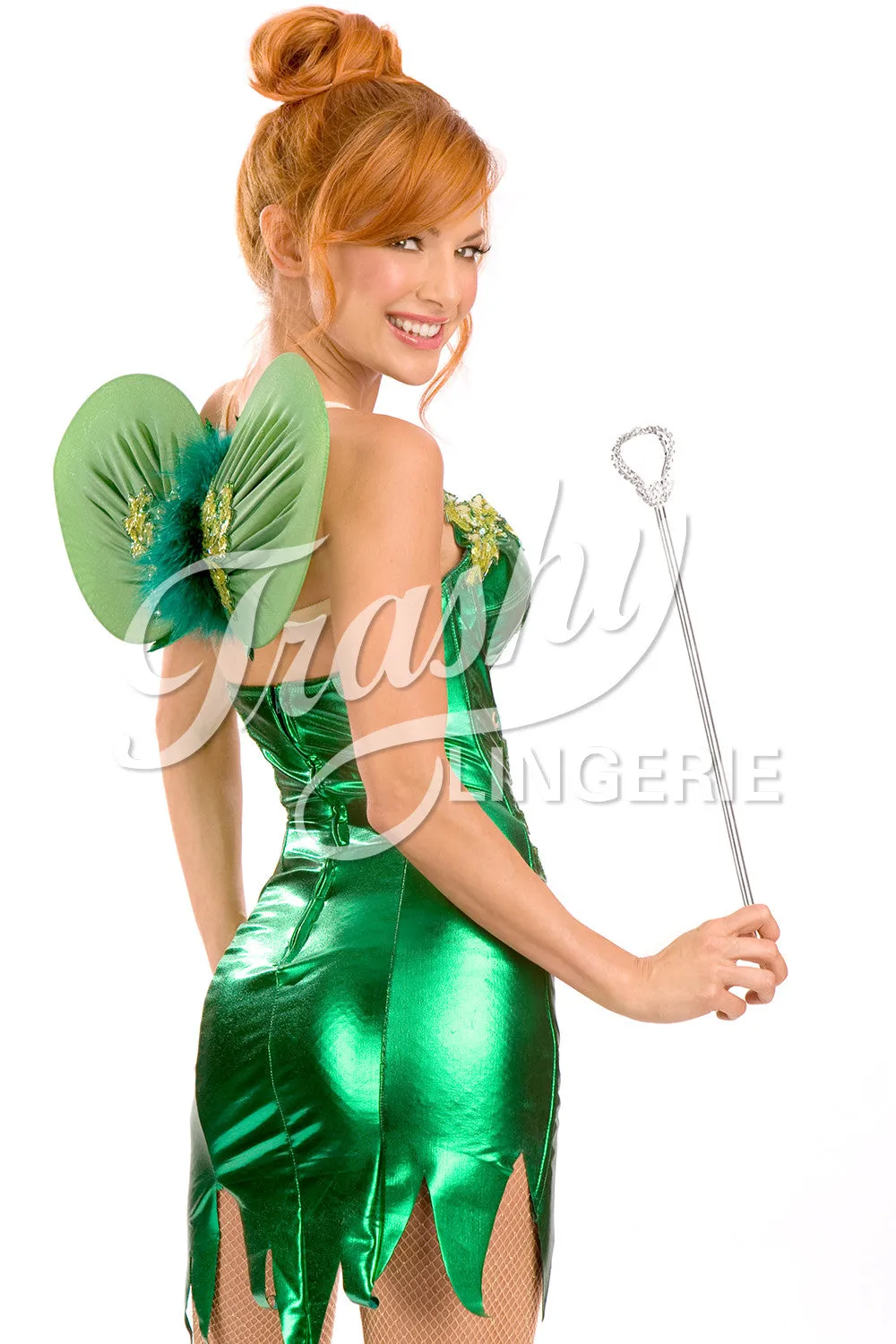 Good Tinker Fairy Wings