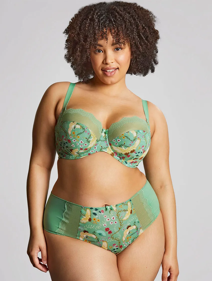 Sculptresse Esme Deep Brief